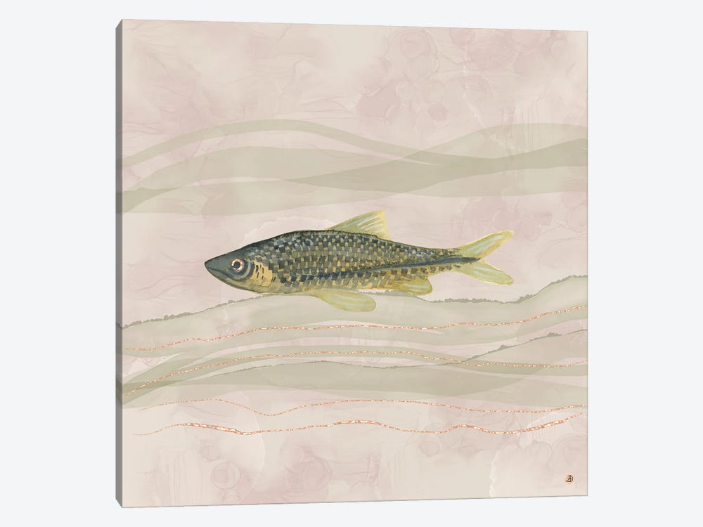 Carp Fish Swimming In Cloudy Water by Andreea Dumez 1-piece Canvas Art Print