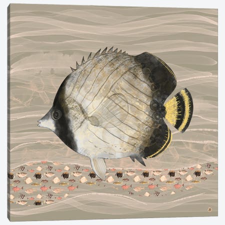 Butterfly Fish In Neutral Earth Tones Canvas Print #AEE87} by Andreea Dumez Art Print
