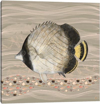 Butterfly Fish In Neutral Earth Tones Canvas Art Print - Andreea Dumez