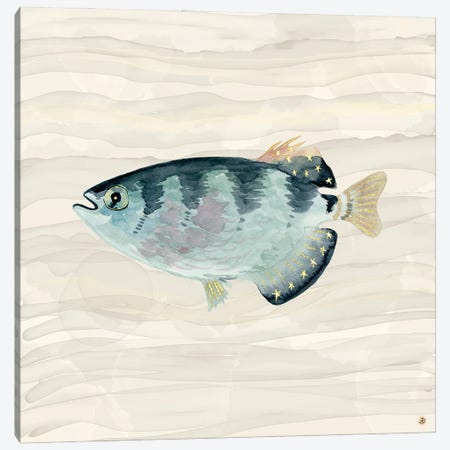 Patriot Fish Swimming Canvas Print #AEE88} by Andreea Dumez Canvas Wall Art