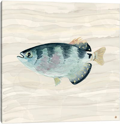 Patriot Fish Swimming Canvas Art Print - Andreea Dumez