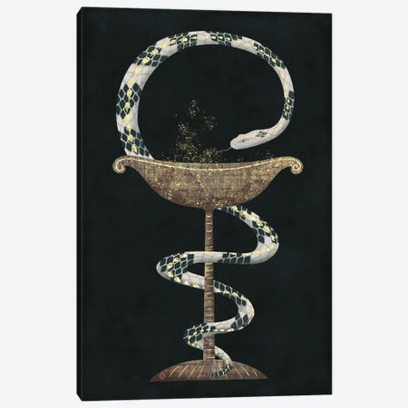 The Bowl Of Hygieia And The Rattlesnake Canvas Print #AEE89} by Andreea Dumez Canvas Artwork