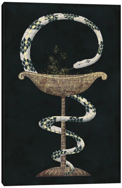 The Bowl Of Hygieia And The Rattlesnake Canvas Art Print - Andreea Dumez