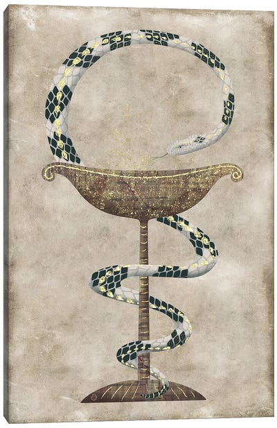 The Serpent Around The Bowl Of Hygieia - Pharmacy Symbol Canvas Art Print - Snake Art
