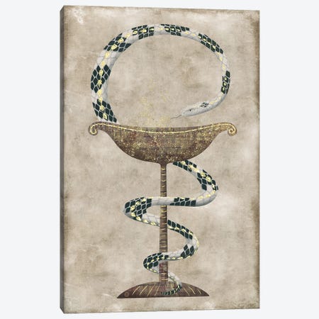 The Serpent Around The Bowl Of Hygieia - Pharmacy Symbol Canvas Print #AEE90} by Andreea Dumez Art Print