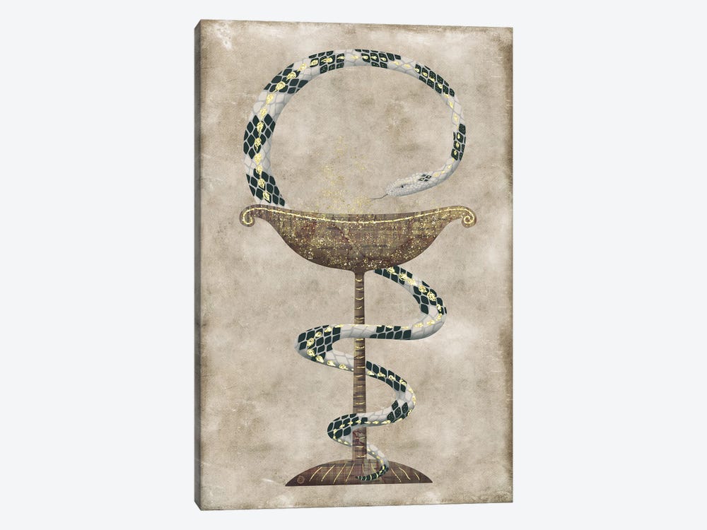 The Serpent Around The Bowl Of Hygieia - Pharmacy Symbol by Andreea Dumez 1-piece Canvas Art Print