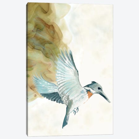 Amazon Kingfisher Tropical Bird Canvas Print #AEE93} by Andreea Dumez Canvas Art Print