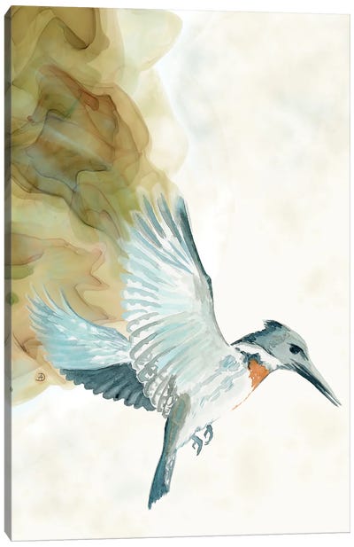 Amazon Kingfisher Tropical Bird Canvas Art Print - Kingfisher Art