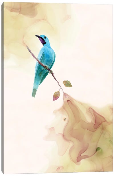 Plum-Throated Cotinga Tropical Bird Canvas Art Print - Andreea Dumez