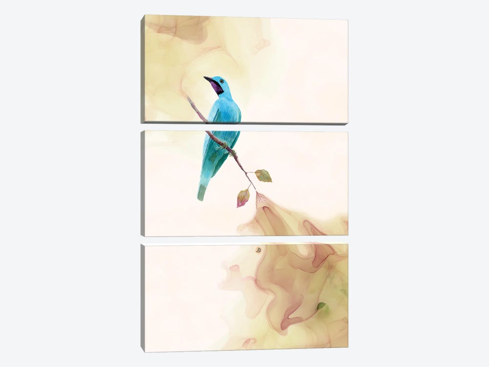 Plum-Throated Cotinga Tropical Bird by Andreea Dumez 3-piece Canvas Art Print