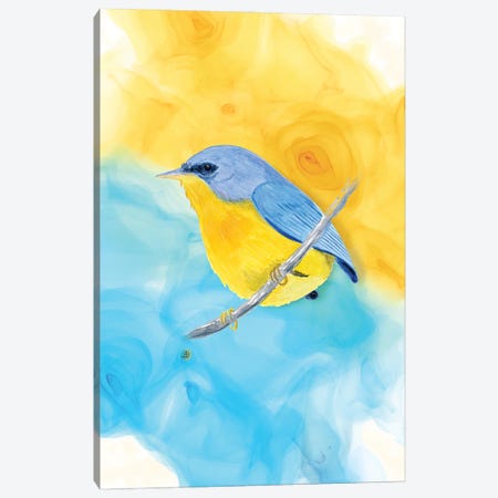 Tropical Parula Bird Canvas Print #AEE95} by Andreea Dumez Canvas Art