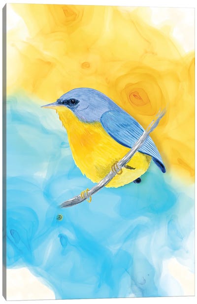 Tropical Parula Bird Canvas Art Print - Andreea Dumez