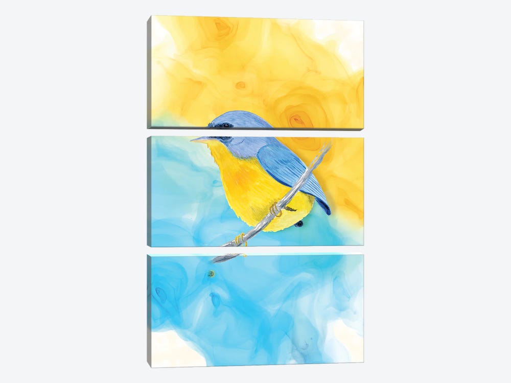 Tropical Parula Bird by Andreea Dumez 3-piece Canvas Artwork