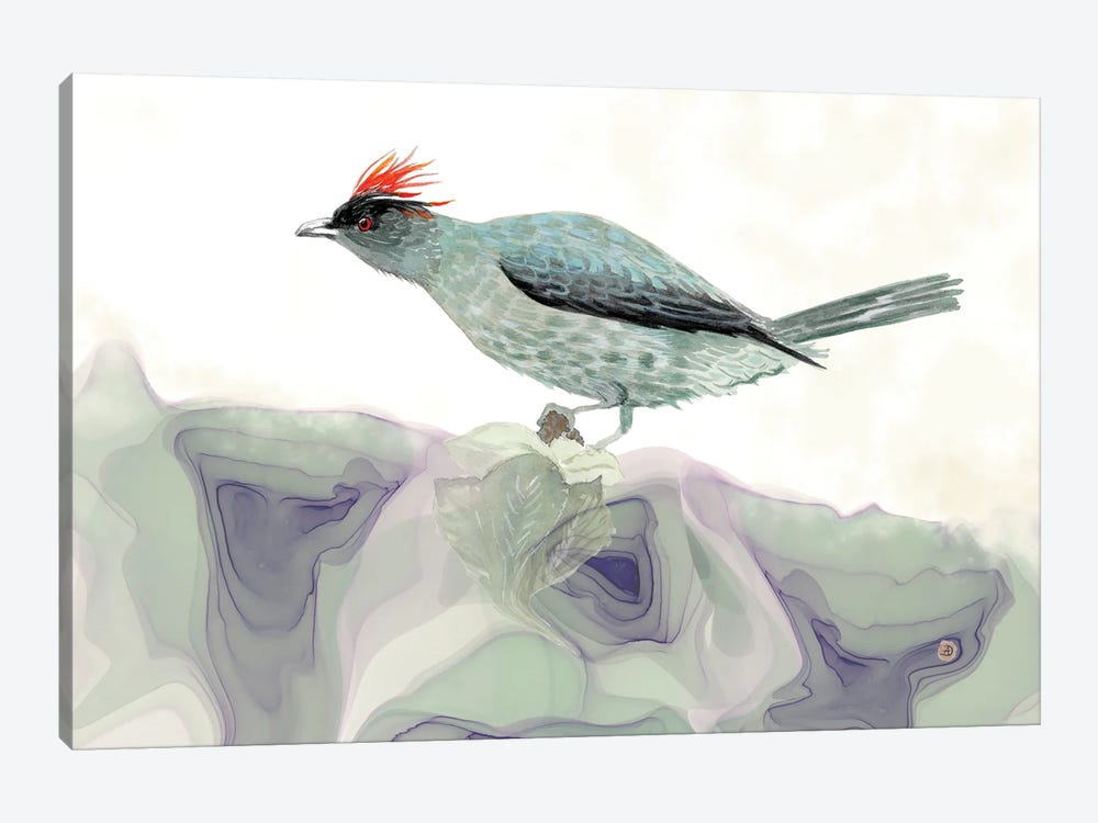 Red-Crested Cotinga - Tropical Bird by Andreea Dumez 1-piece Art Print
