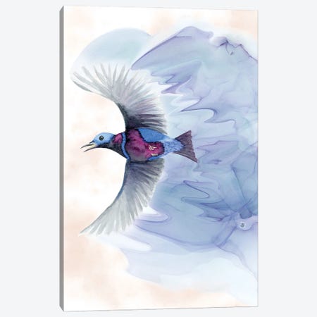 Banded Cotinga - Tropical Bird Canvas Print #AEE97} by Andreea Dumez Canvas Art