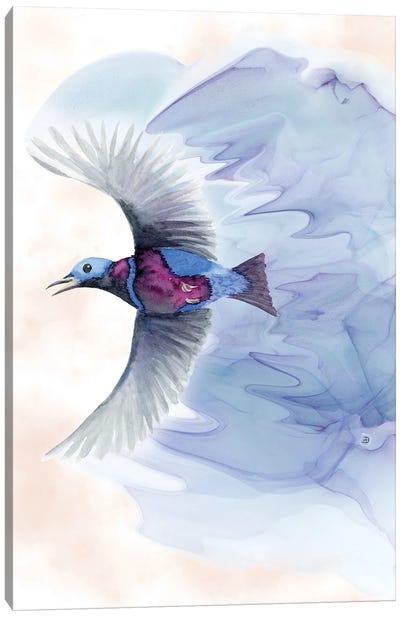 Banded Cotinga - Tropical Bird Canvas Art Print - Andreea Dumez
