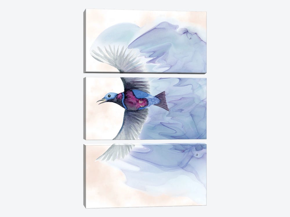 Banded Cotinga - Tropical Bird by Andreea Dumez 3-piece Canvas Wall Art