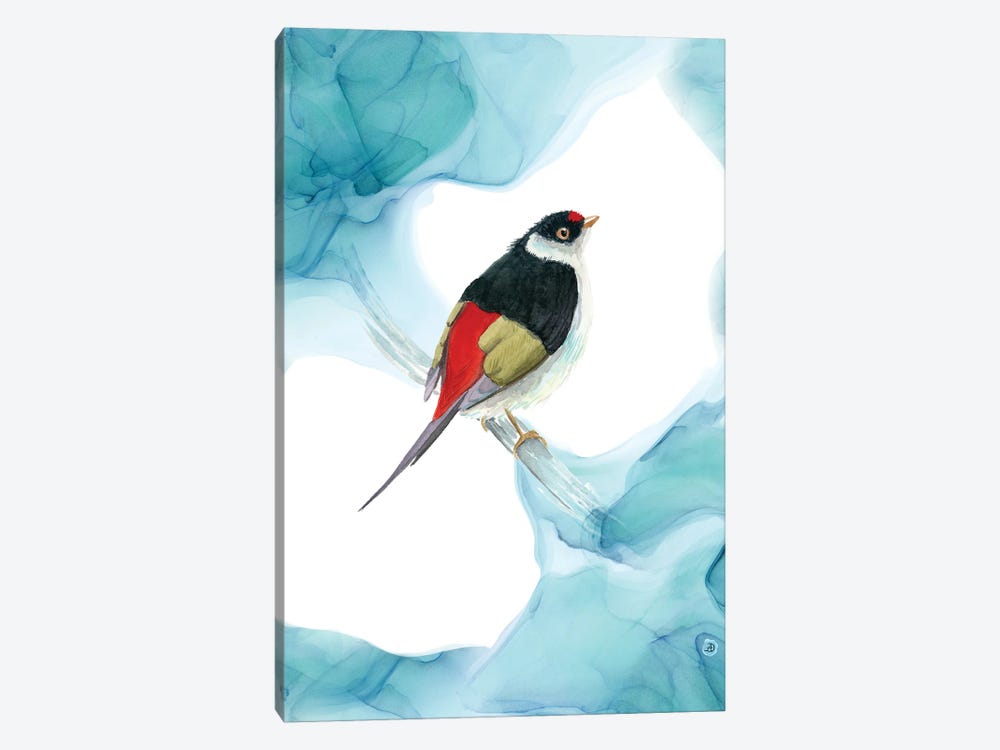 Pin-Tailed Manakin - Tropical Bird by Andreea Dumez 1-piece Canvas Artwork