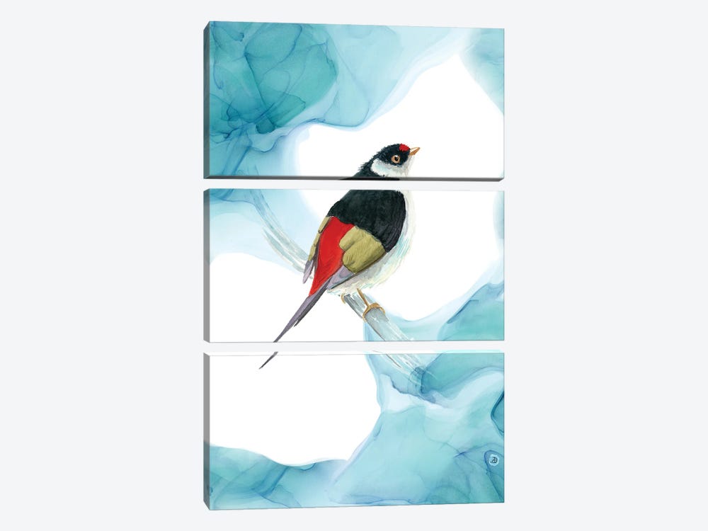 Pin-Tailed Manakin - Tropical Bird by Andreea Dumez 3-piece Canvas Wall Art