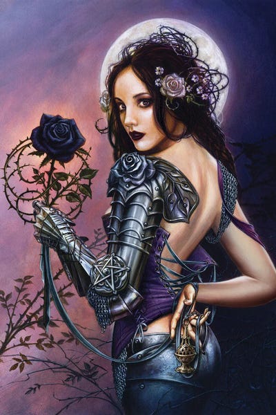 Rosa Noctis by Alchemy England canvas print