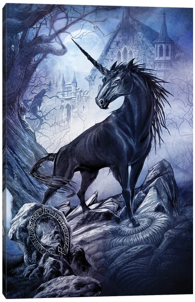 Nocticorn Canvas Art Print - Unicorn Art