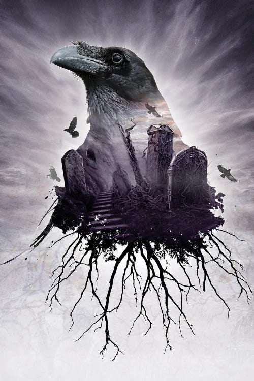 The Seer