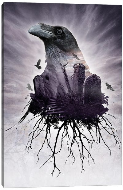 The Seer Canvas Art Print - Raven Art