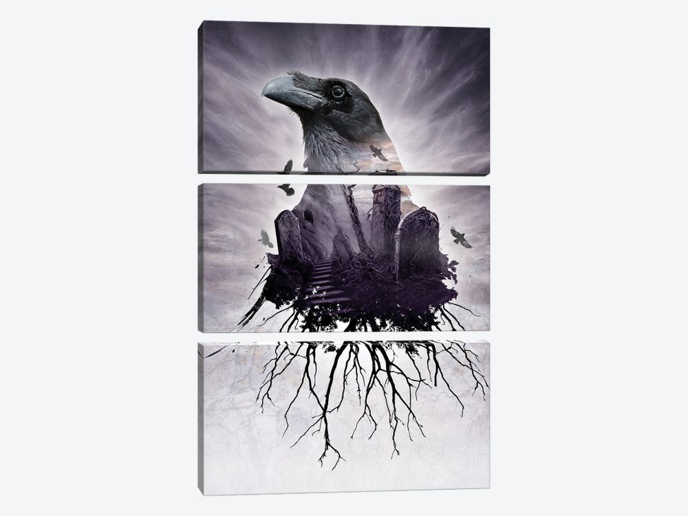 The Seer by Alchemy England 3-piece Canvas Print