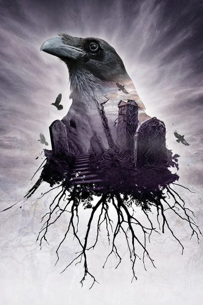 The Seer