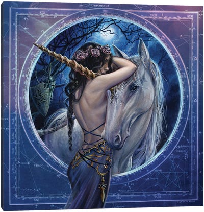 Mythicorn Canvas Art Print - Mysticism