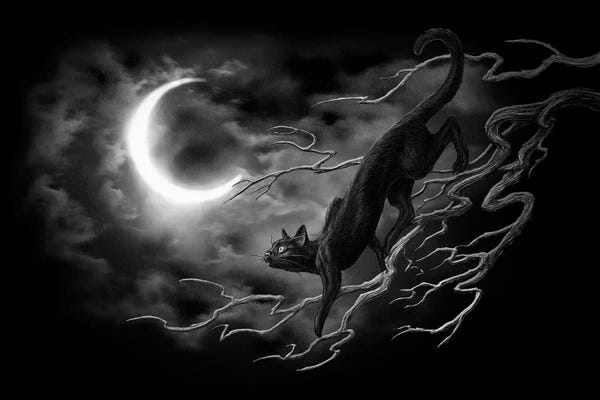 Black Cats: Minnaloushe by Alchemy England