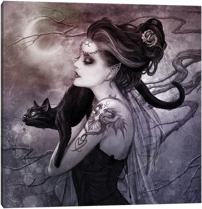 Minnaloushe Moon Canvas Art Print - Black Cat Art