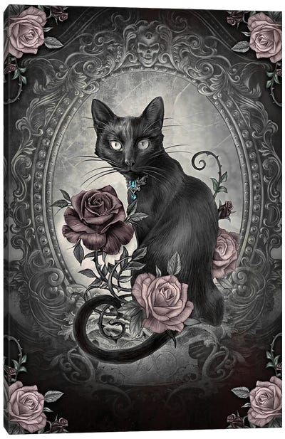 Paracelsus - Rose Canvas Art Print - Black Cat Art