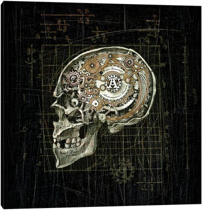 Anima Autonima Canvas Art Print - Skull Art