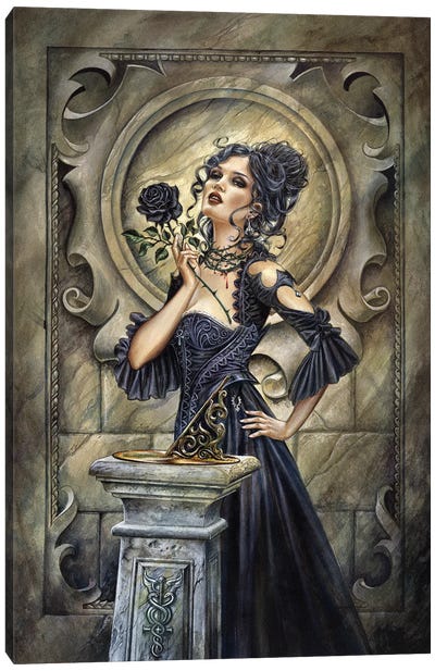 Black Rose Canvas Art Print - Alchemy England
