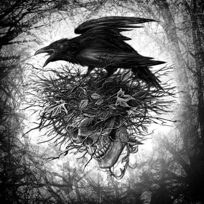 Crows Nest by Alchemy England framed canvas print