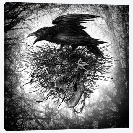 Crows Nest Canvas Print #AEG74} by Alchemy England Canvas Wall Art