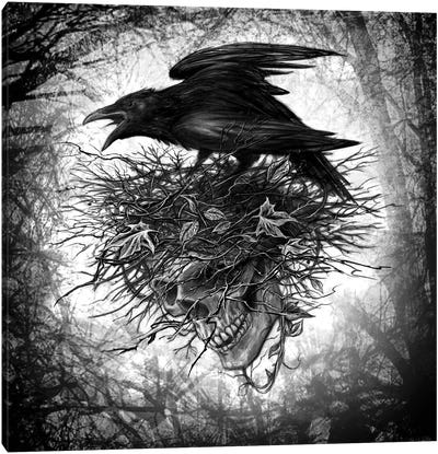 Crows Nest Canvas Art Print - Raven Art