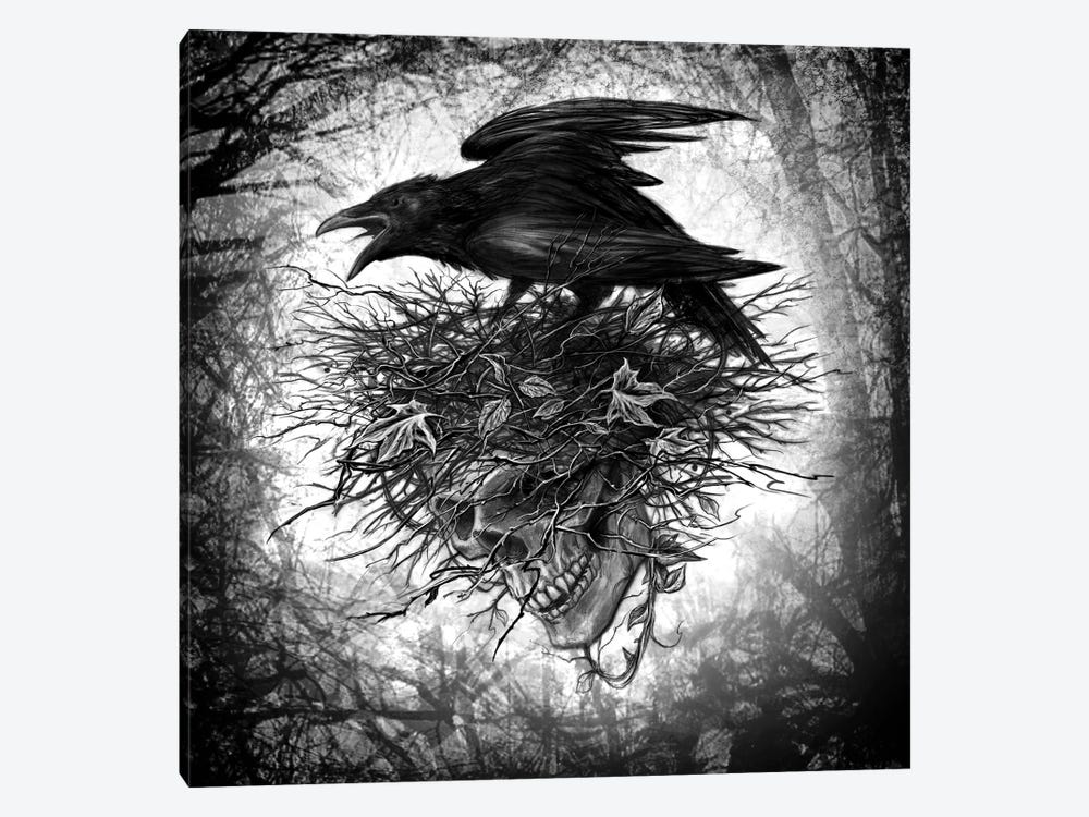 Crows Nest by Alchemy England 1-piece Canvas Artwork