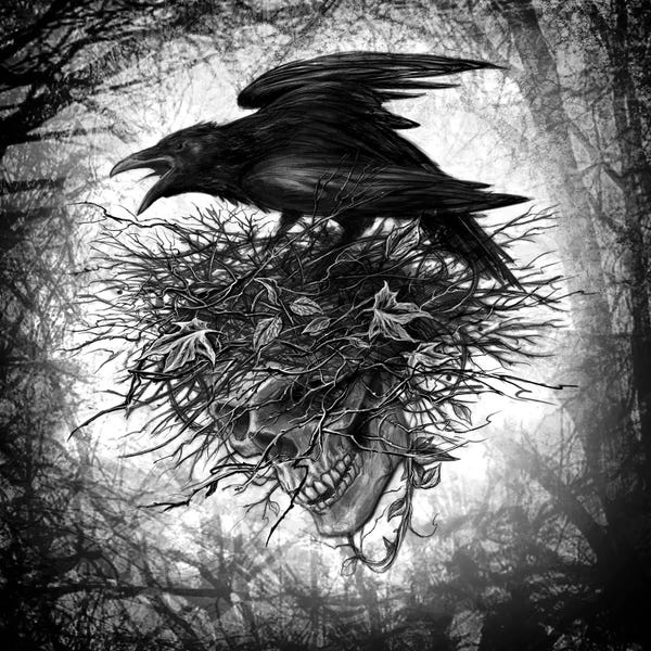 Skulls: Crows Nest by Alchemy England