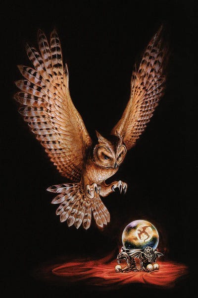 The Owl Of Astrontiel by Alchemy England canvas print