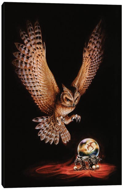 The Owl Of Astrontiel Canvas Art Print - Alchemy England