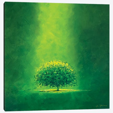 Green Hope Canvas Print #AEP12} by Alessandro Piras Canvas Art