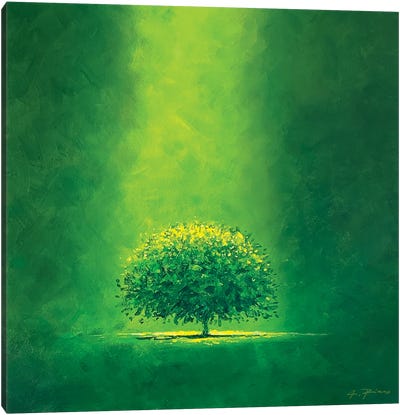Green Hope Canvas Art Print - Alessandro Piras