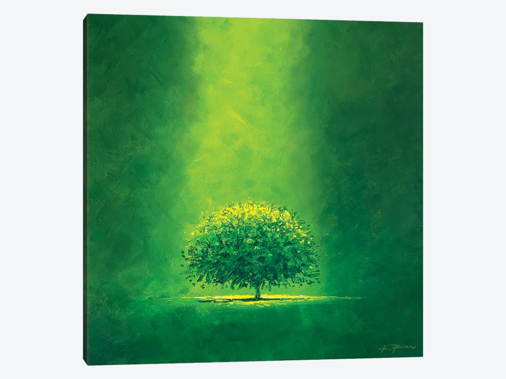 Green Hope by Alessandro Piras 1-piece Canvas Wall Art