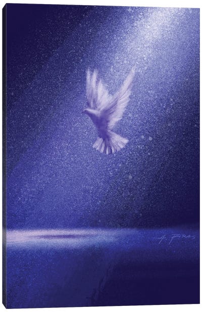 Holyness Canvas Art Print - Dove & Pigeon Art