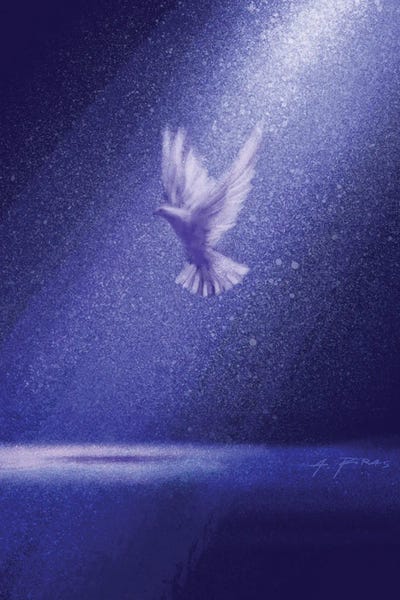 Alessandro Piras: Holyness by Alessandro Piras