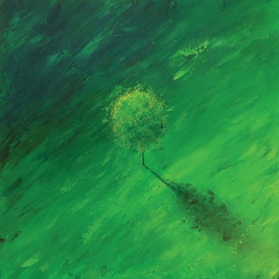 Solitary Tree by Alessandro Piras canvas print