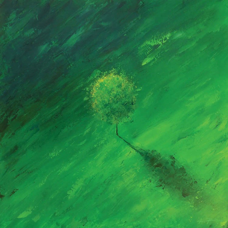 Solitary Tree