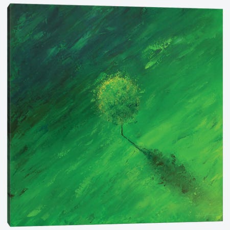 Solitary Tree Canvas Print #AEP17} by Alessandro Piras Art Print